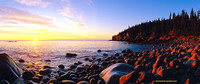 Otter Cliffs Panoramic- Acadia